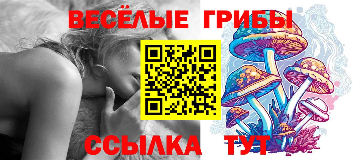 Псилоцибиновые грибы мицелий Советский
